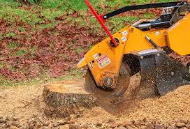 Best Lawn Irrigation Installation and Maintenance  in Pine Air, FL