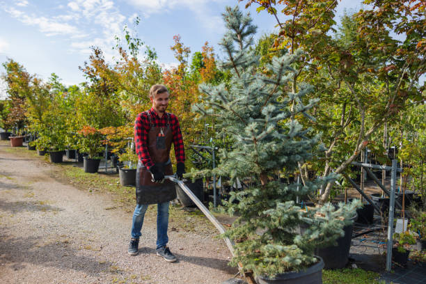 Best Lawn Watering Services  in Pine Air, FL